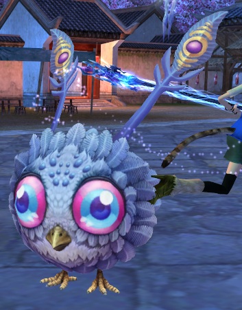 purplepuffbirdpetegg.jpg
